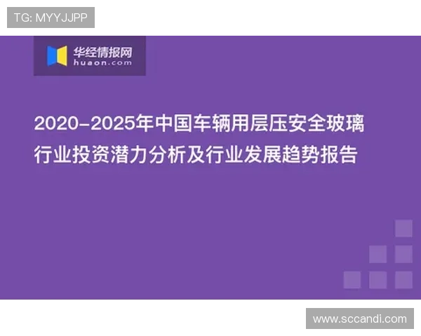 全面解析K8视讯大厅的安全保障措施，保障玩家账号信息与资金安全的实用建议